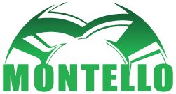 Montello spa